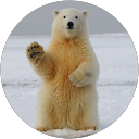 Gayathiri Tanabalasinggam profile picture